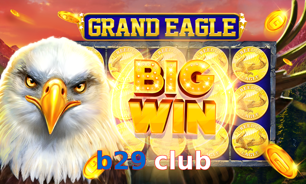 b29 club