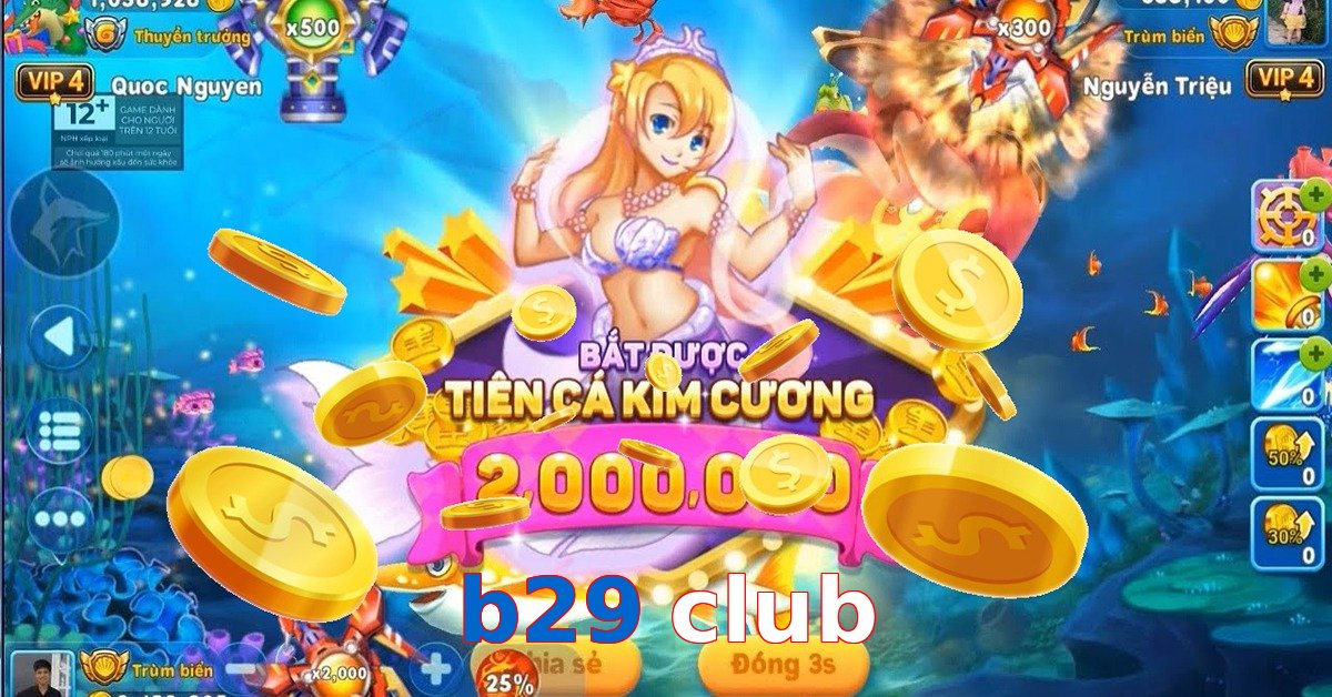 b29 club