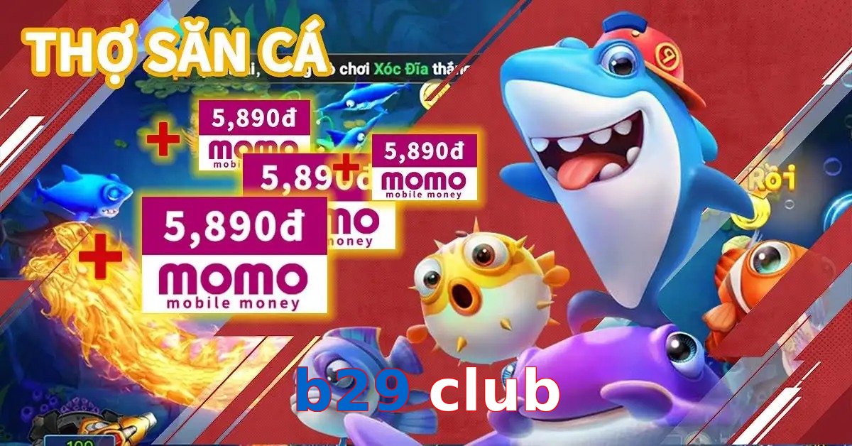 b29 club