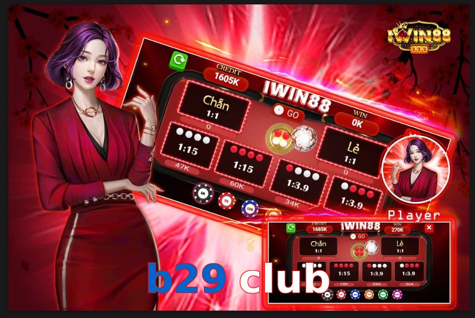 b29 club