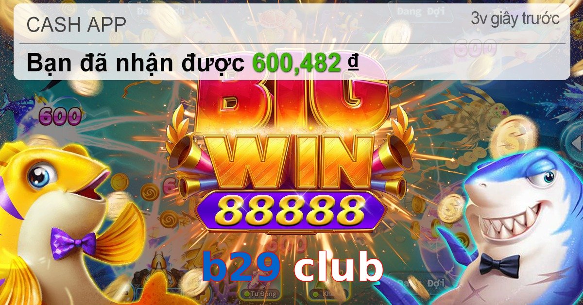 b29 club