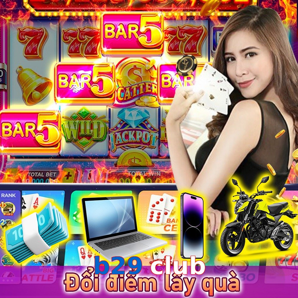 b29 club