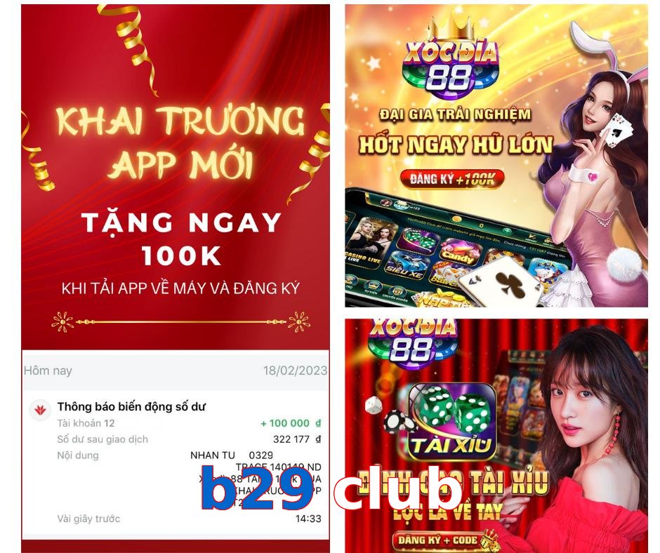 b29 club